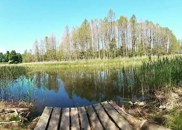 Losiowka Domek Nad Sapina