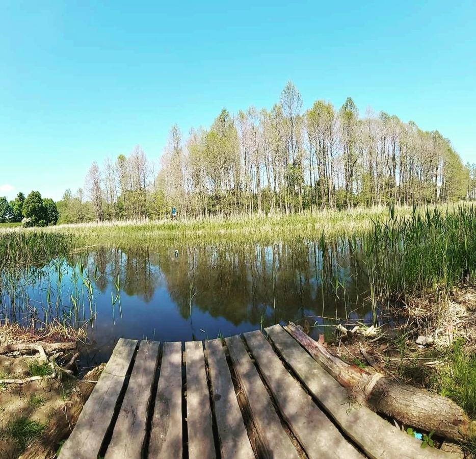 Holiday home Losiowka Nad Sapina Pozezdrze